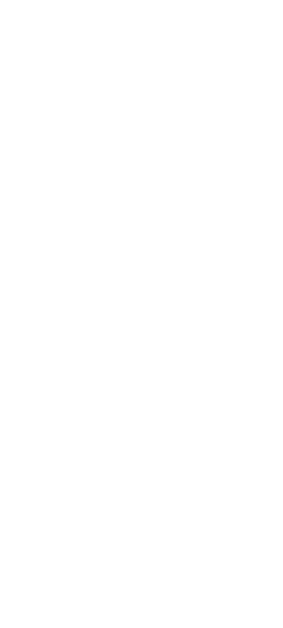 ELECTRIC MISTRESS RECORDS